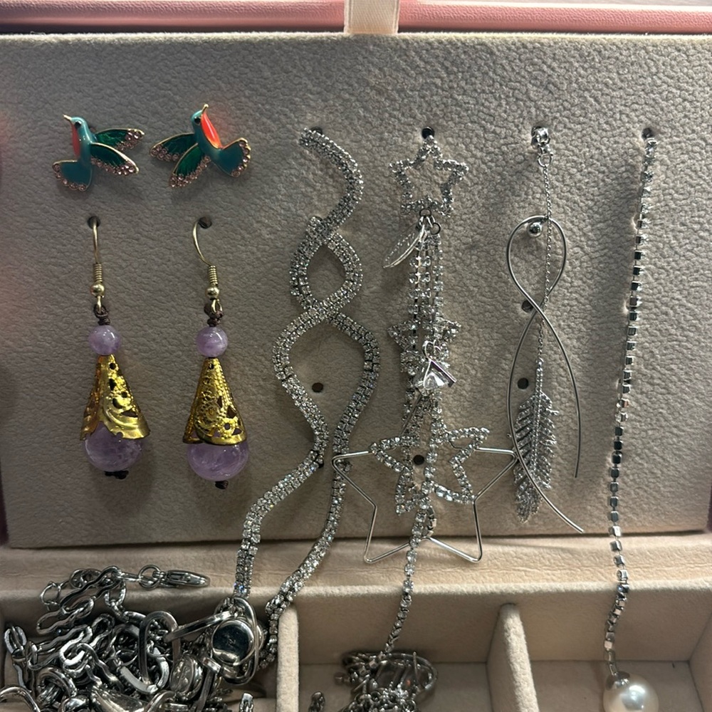 Earrings